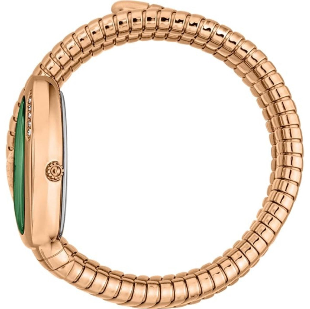 Just Cavalli Women’s Quartz Rose Gold Stainless Steel Green Dial Snake Watch 22mm JC1L230M0055